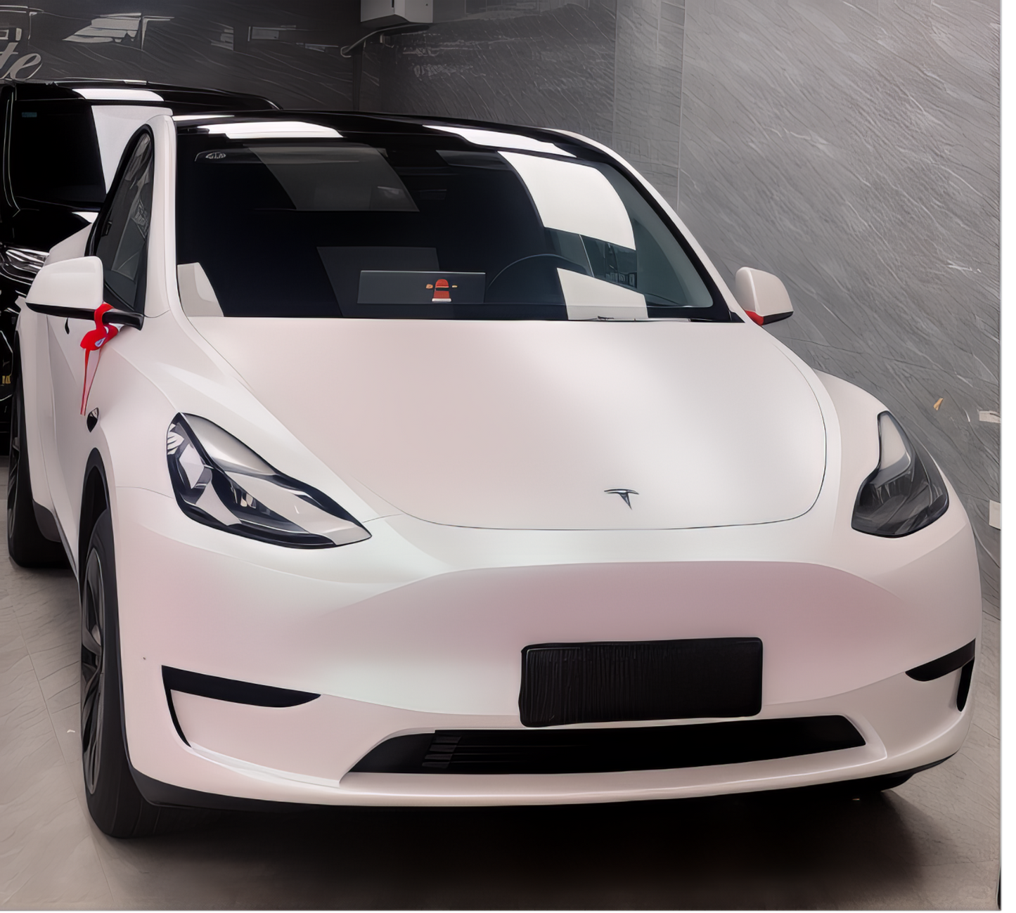 PET Matte Aurora White - 2010