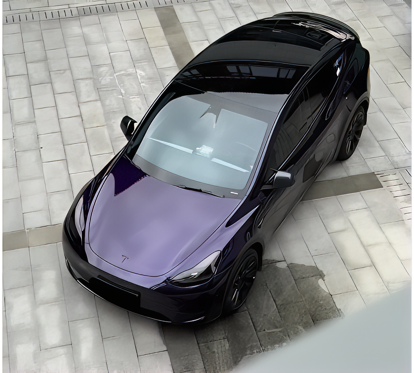 PET Ghost Midnight Purple - B2008