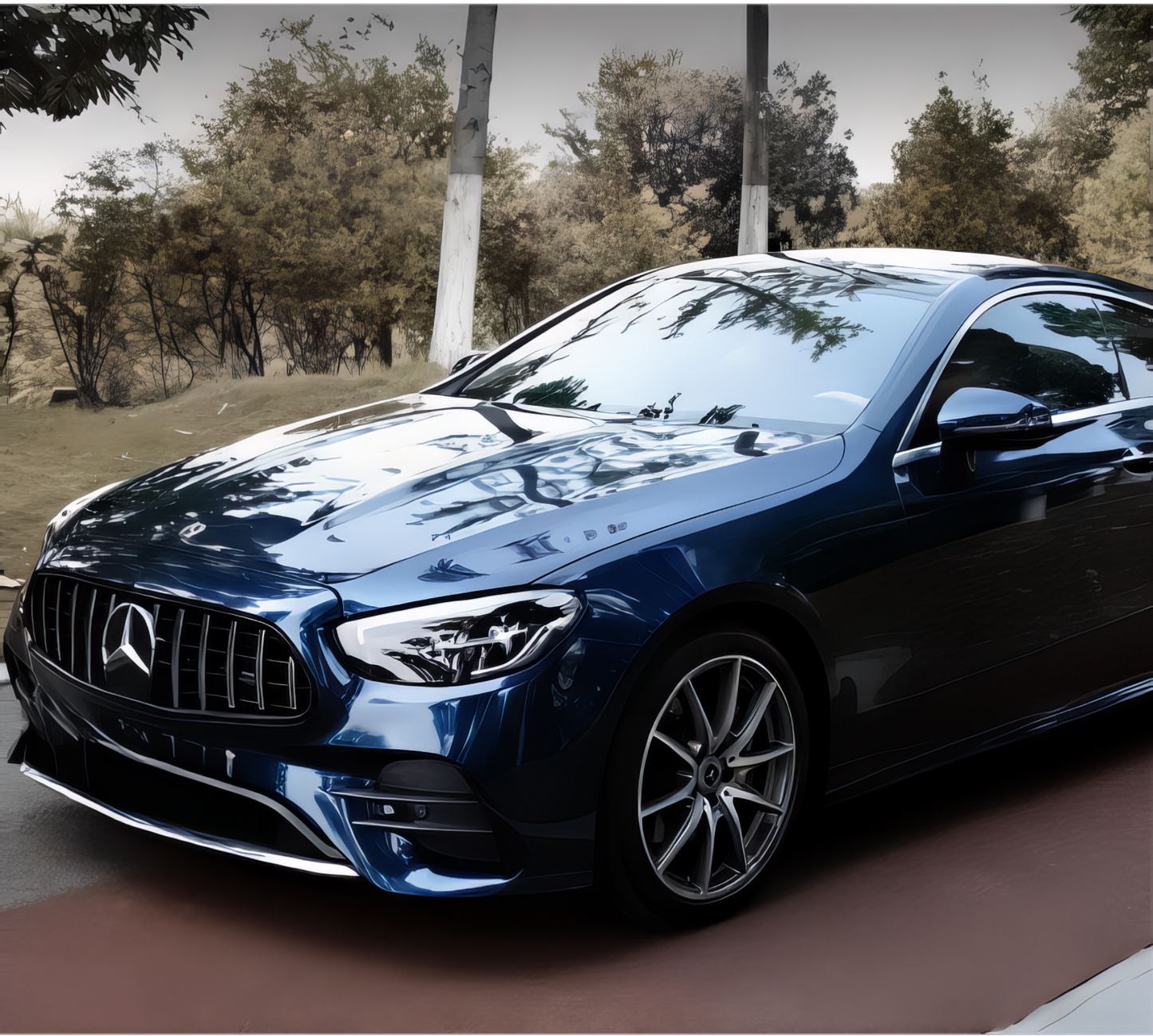 PET Ghost Midnight Blue - B2010