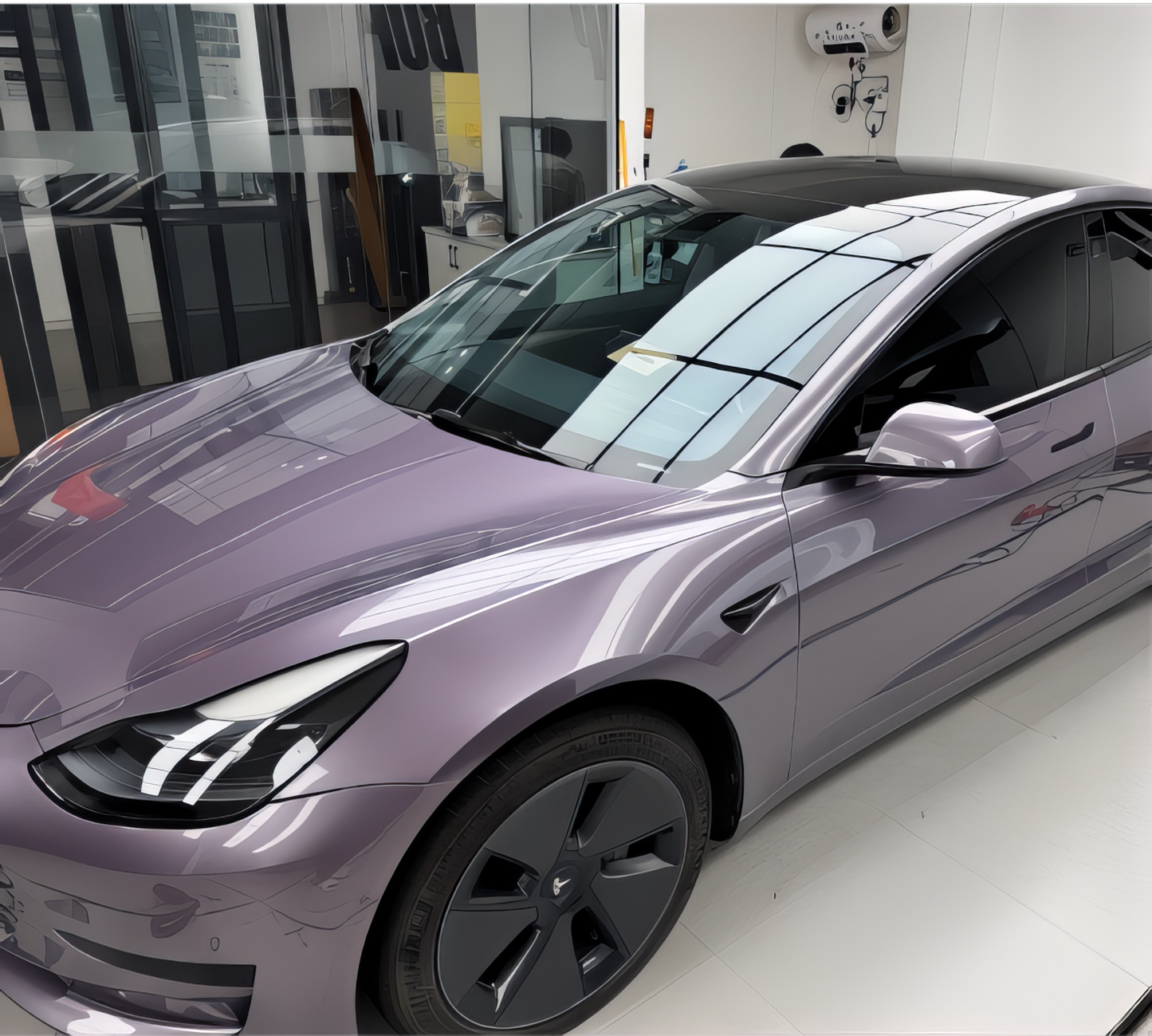 PET Midsummer Purple - D0804