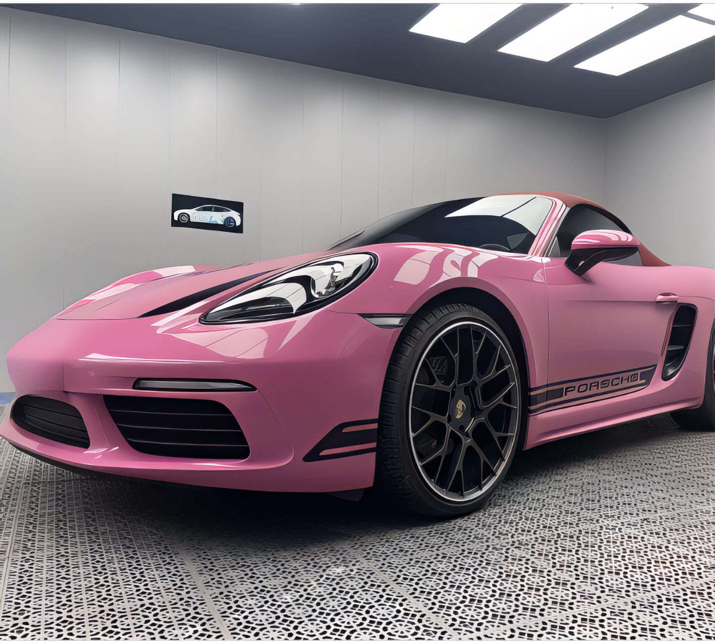 PET Tulip Pink - D0914