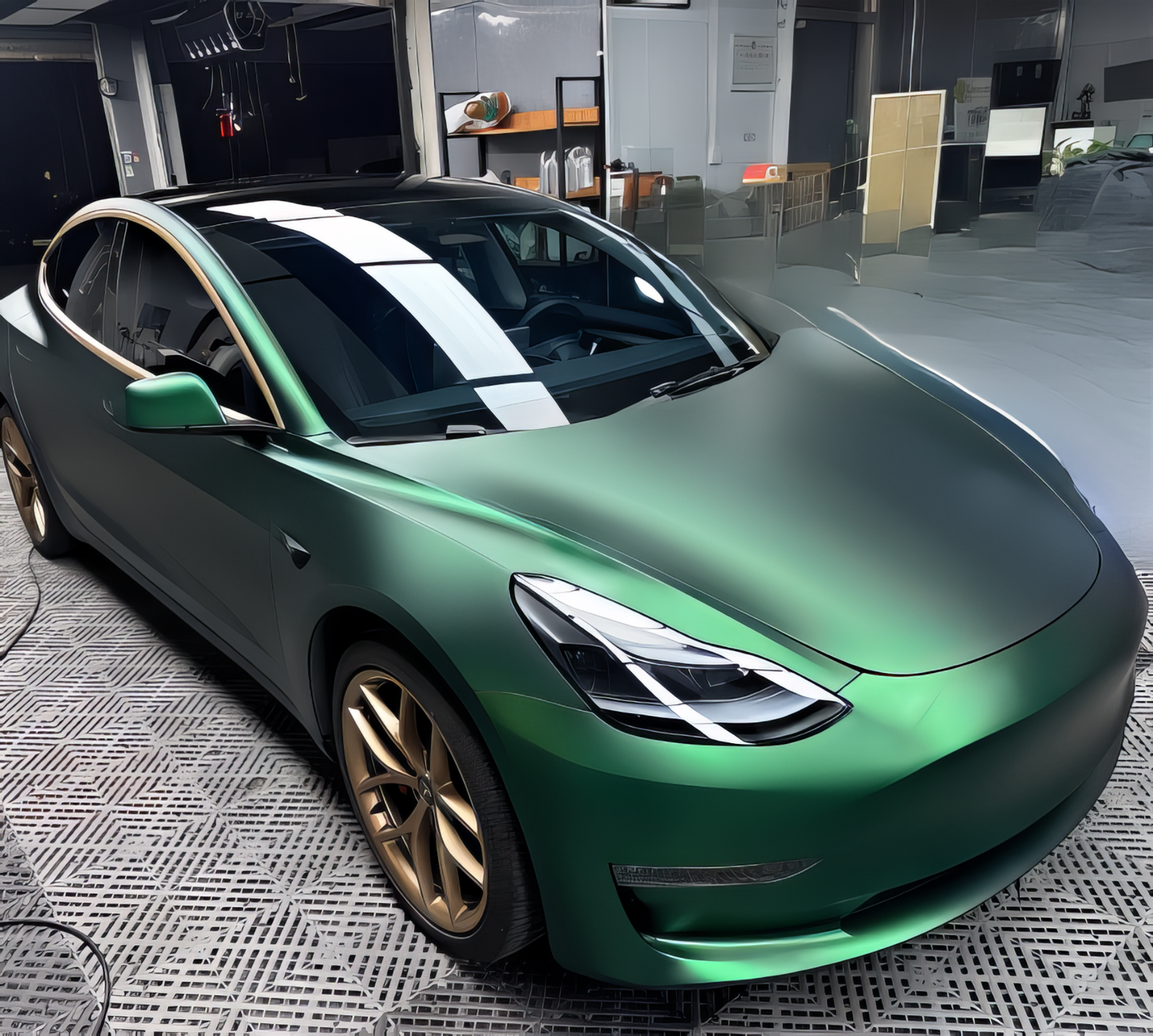 PET Venom Green - D1006