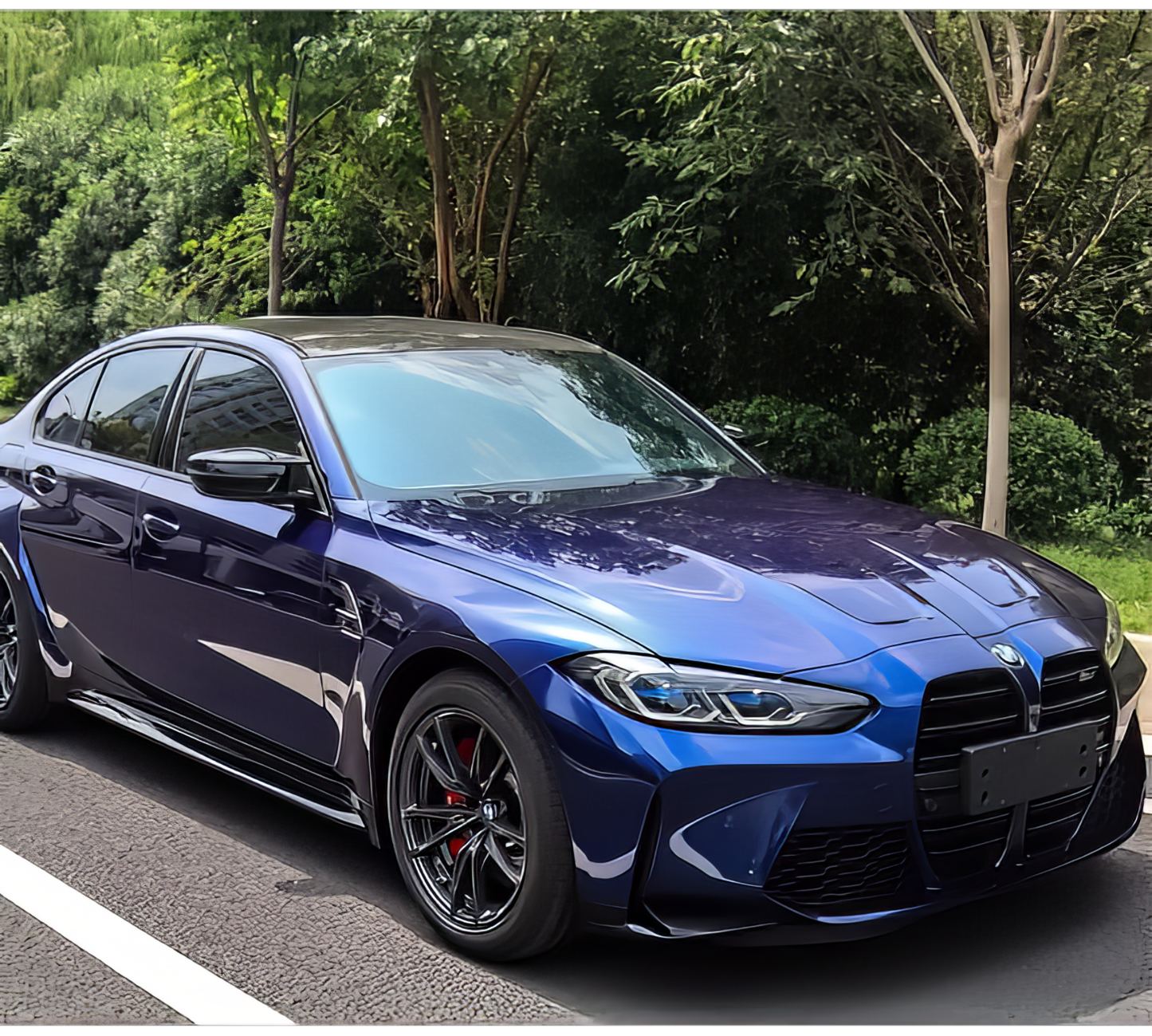 PET BMW Blue - D8013
