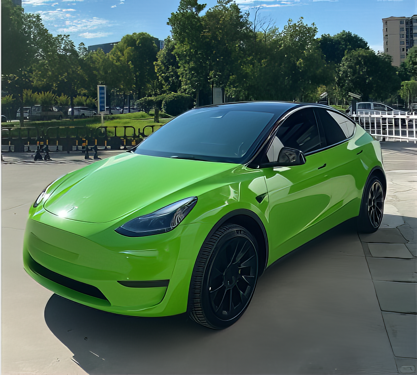 TPU Lizard Green