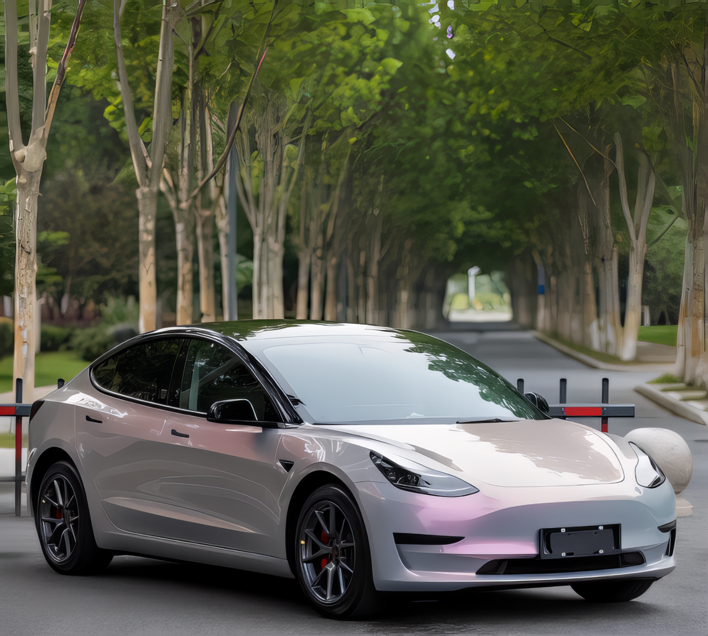 PET Twin Color Grey - S2002