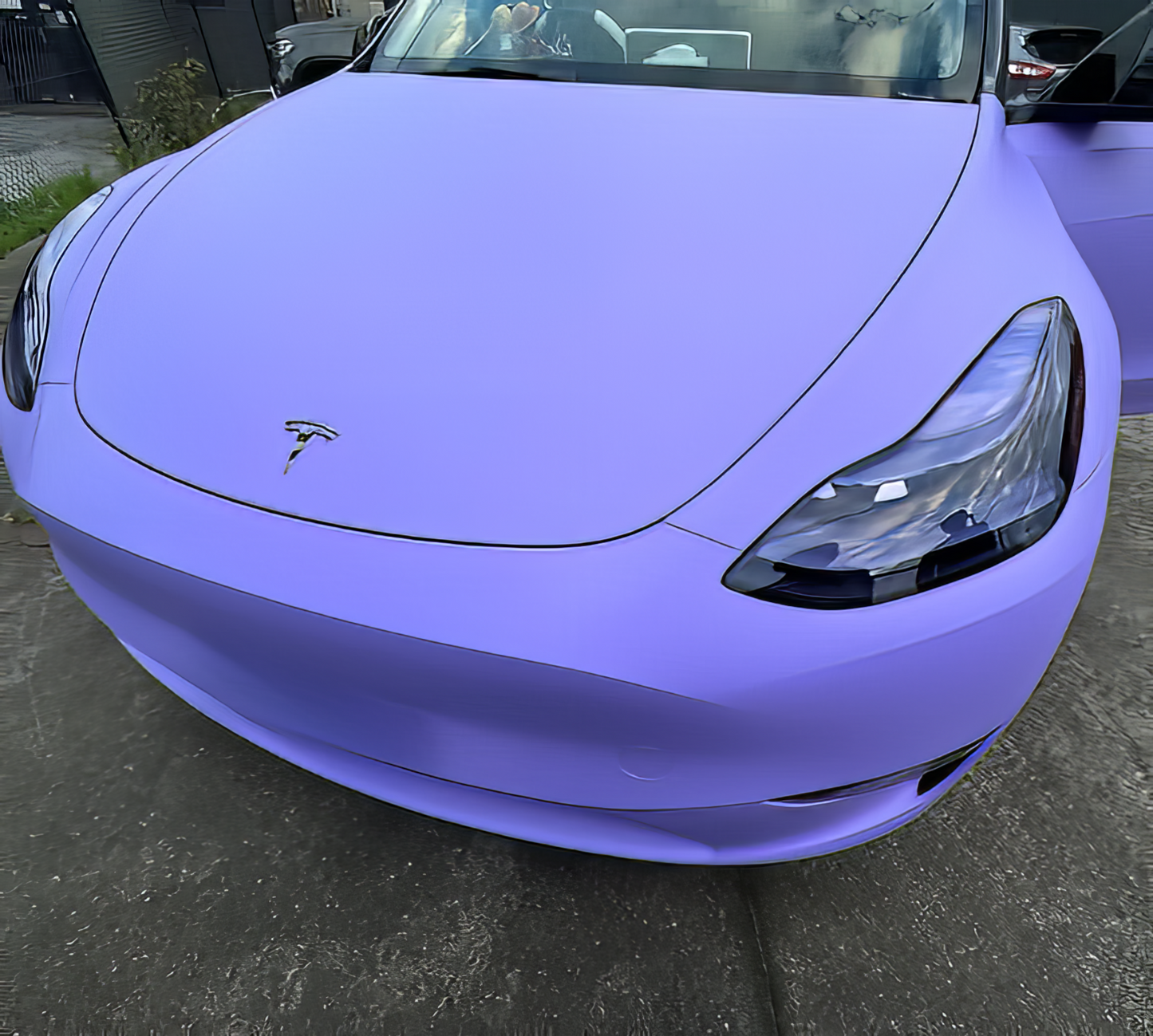 PET Flat Violet - SP1508A
