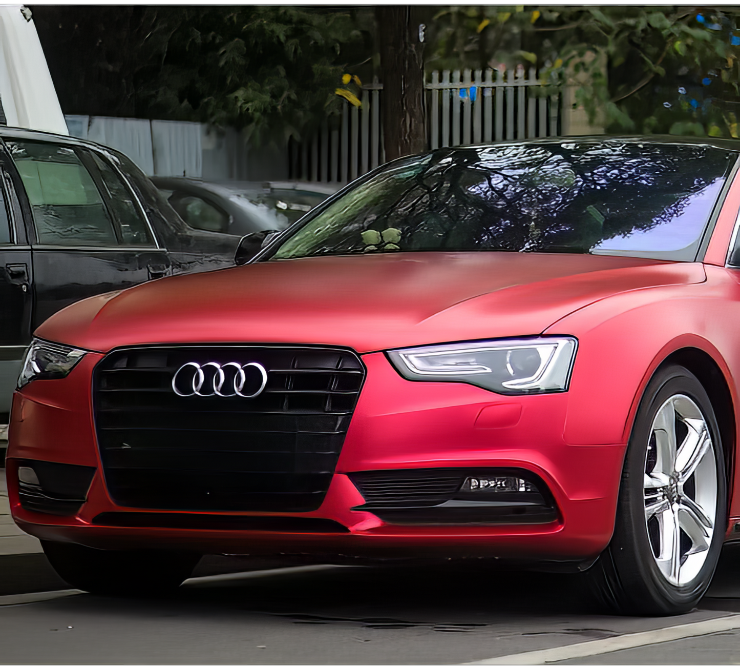PET Matte Metallic Red - SP310D