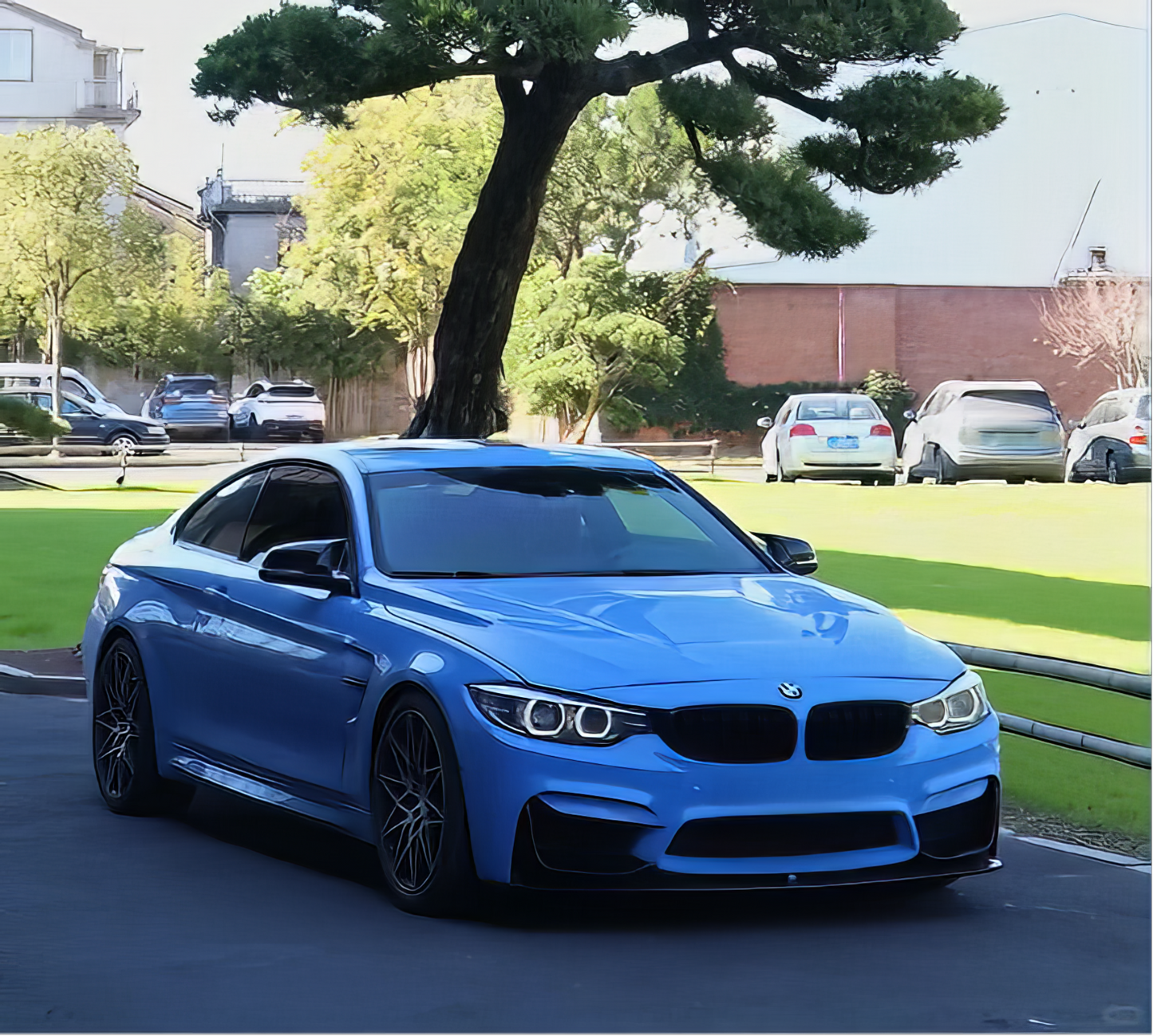 PET BMW Yas Marina - SP427E