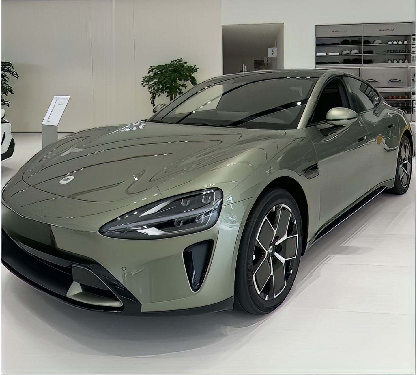 PET Olive Green - SP493E