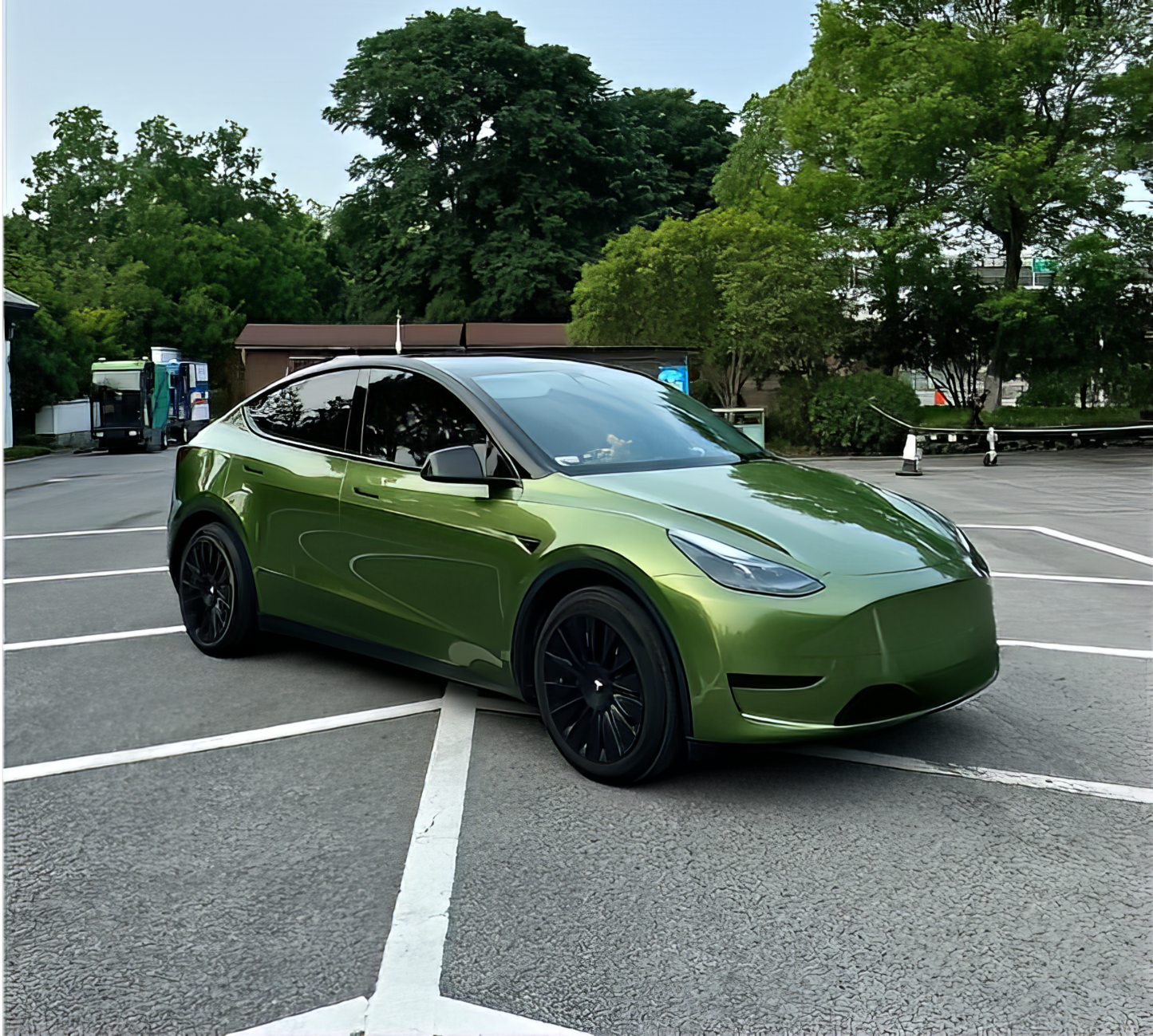 TPU Mamba Green