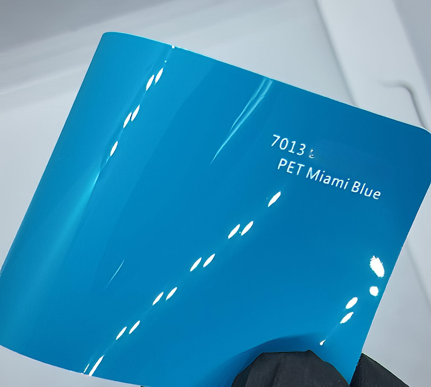 PET Miami Blue - 7013
