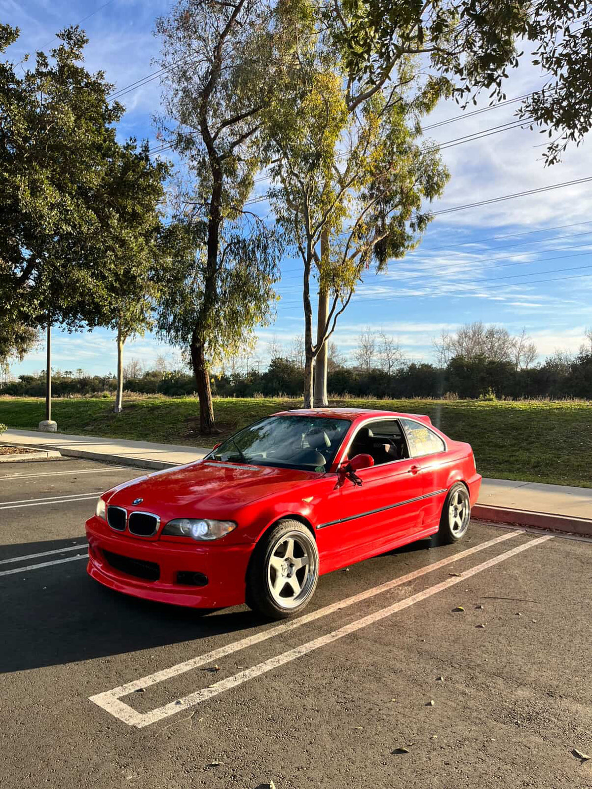 PET Ferrari Red - 7005