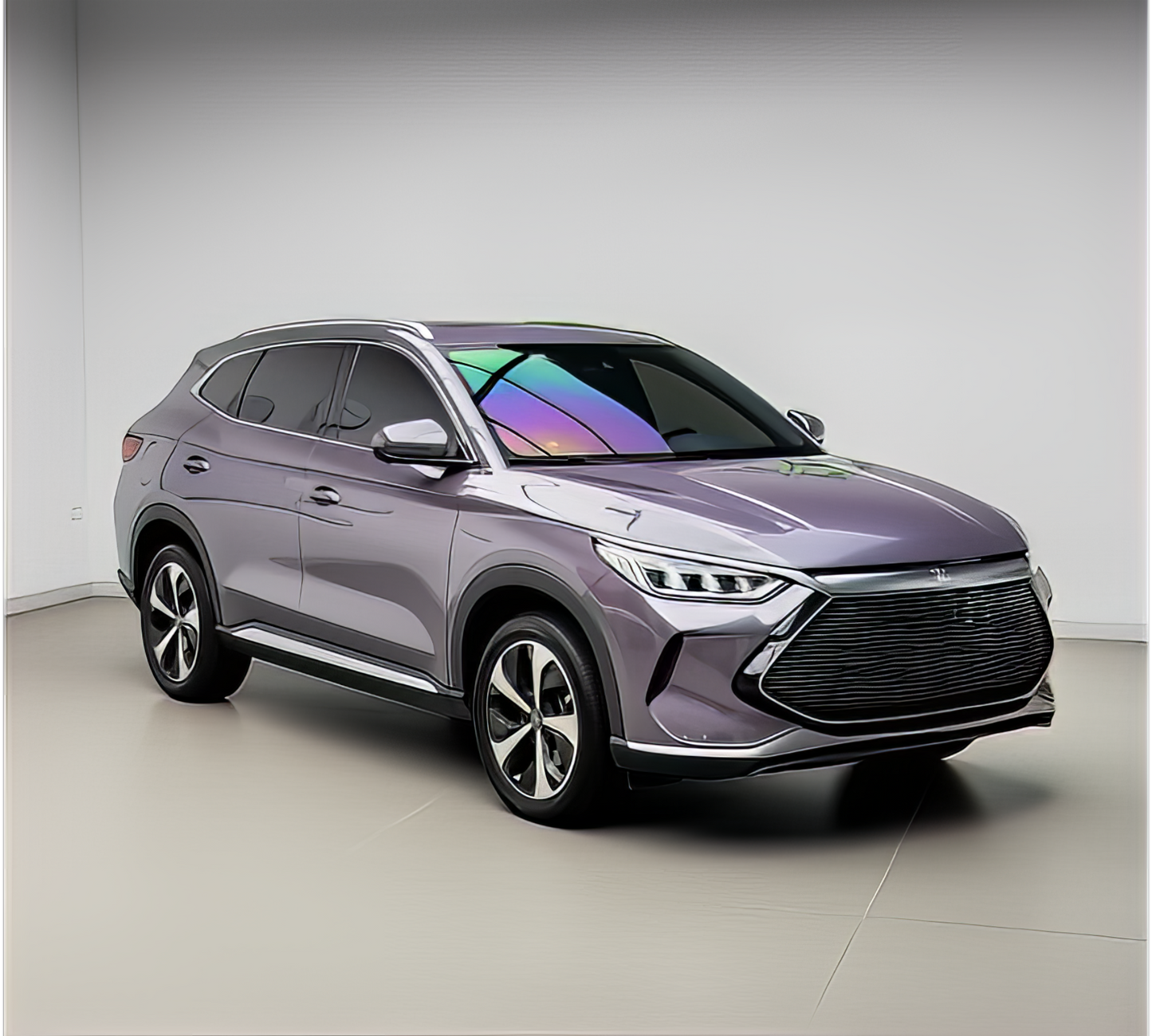 PET NIO Spirit Purple - D0918