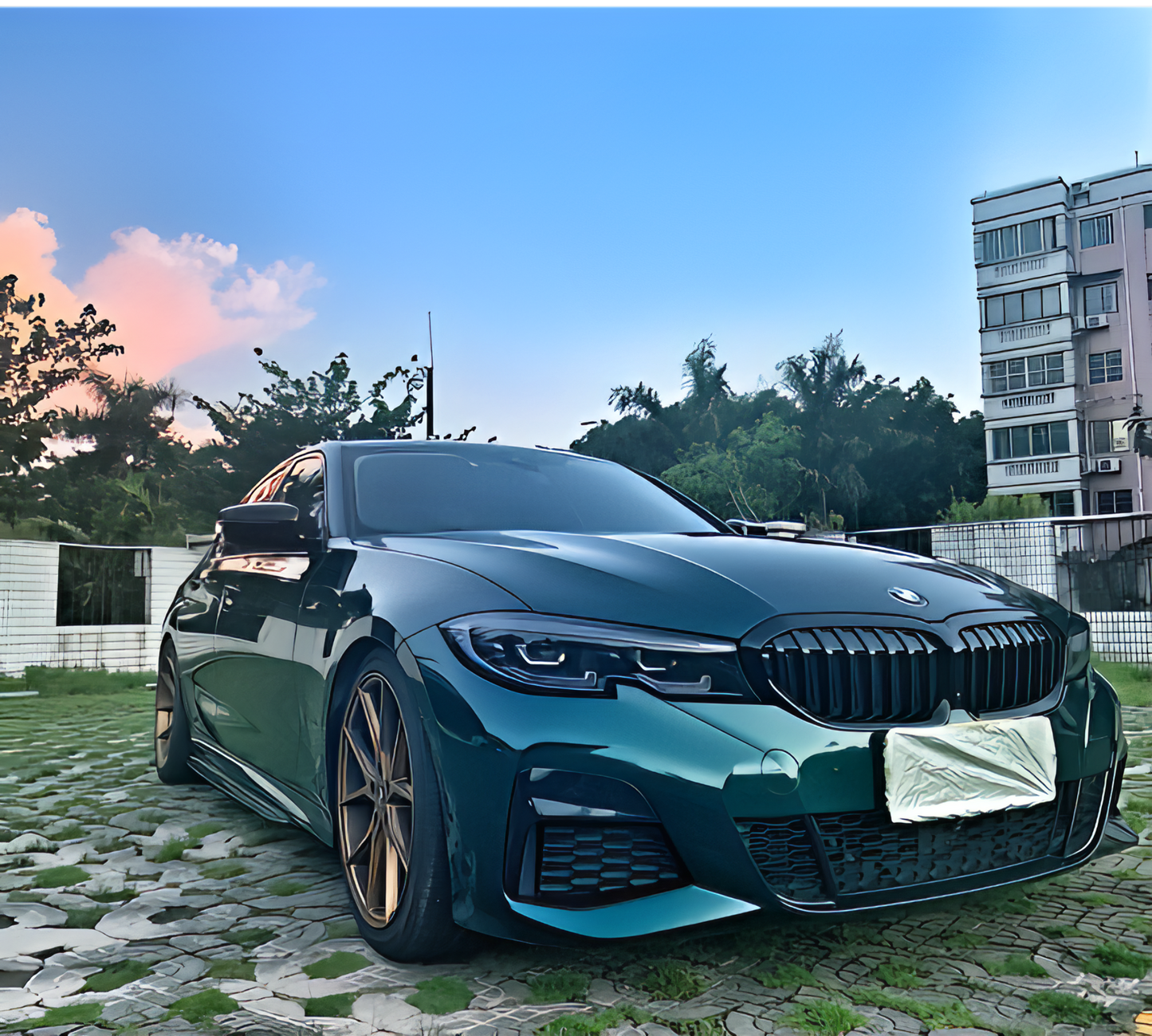 PET Midnight Green - D8005