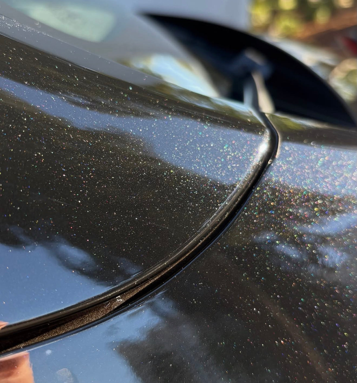 Gloss PPF