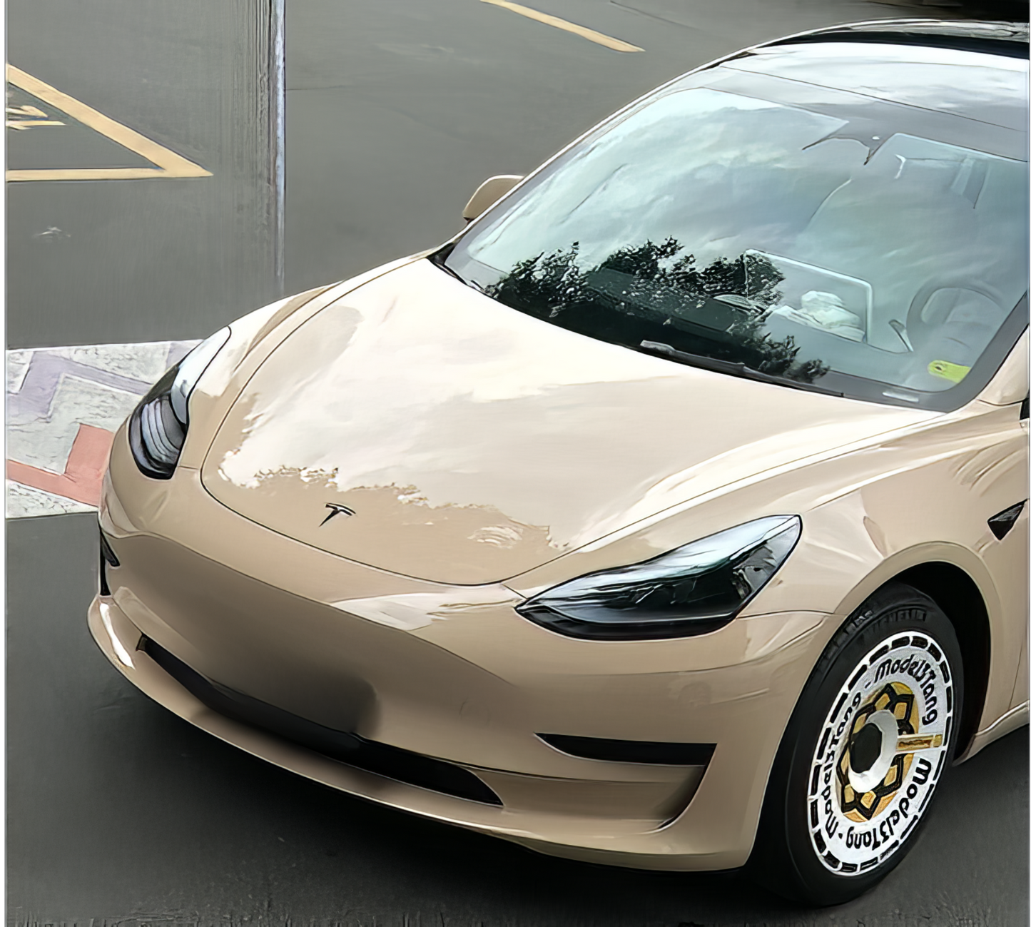 PET Cuban Sand - SP1105G