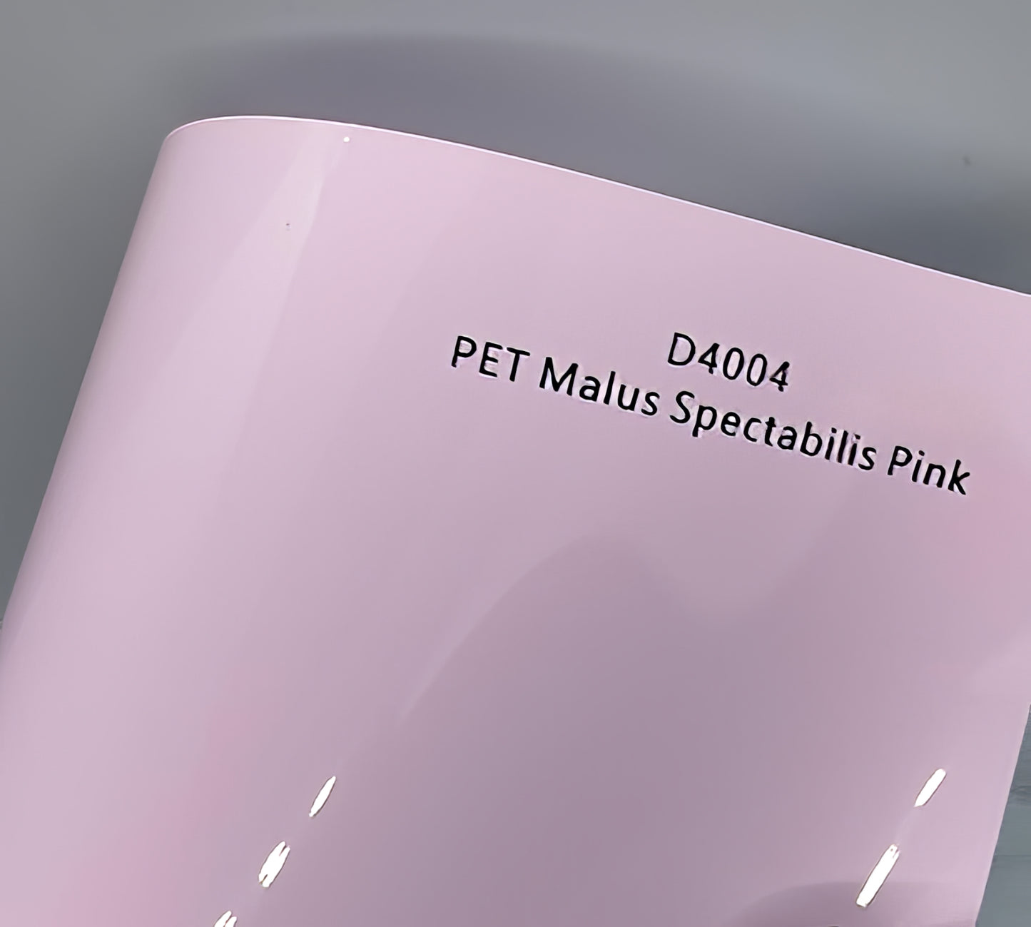 PET Malus Spectabilis Pink - D4004