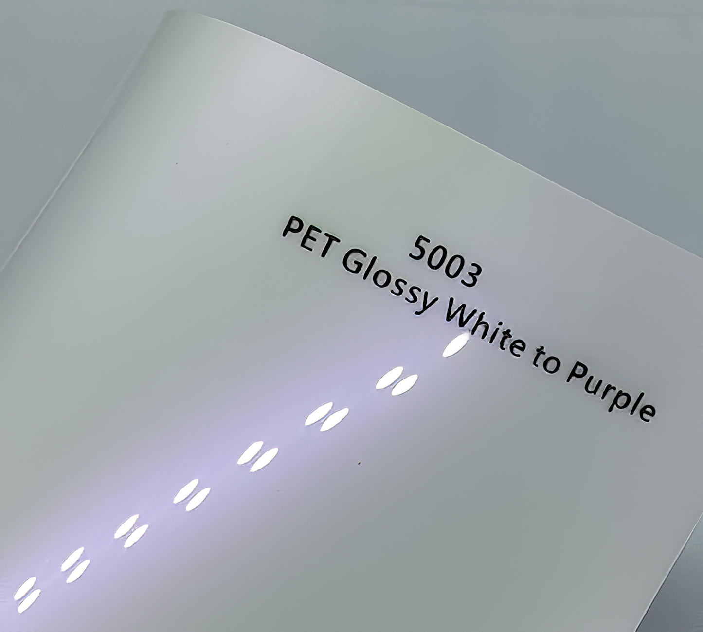 PET Glossy White to Purple - 5003