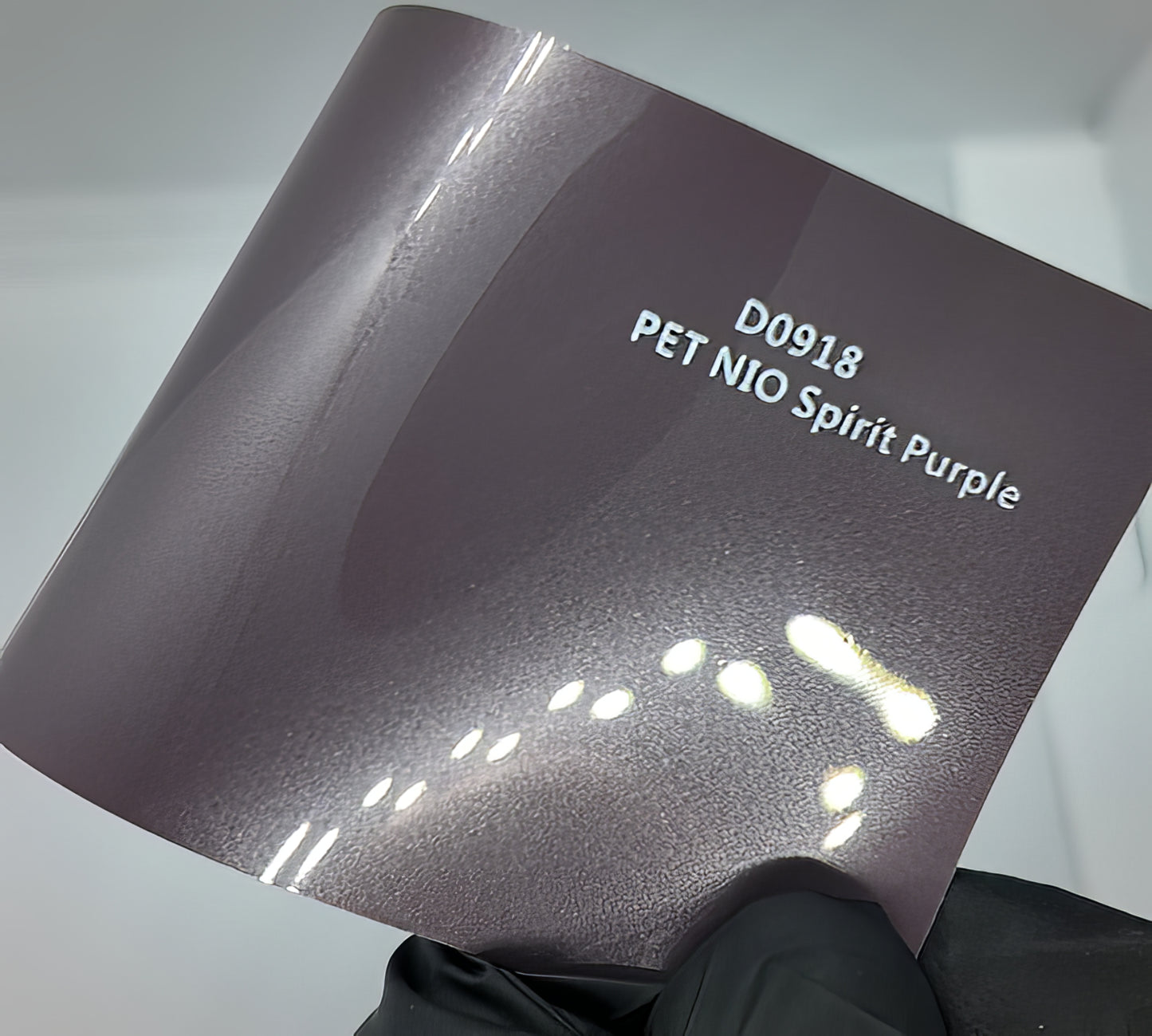 PET NIO Spirit Purple - D0918