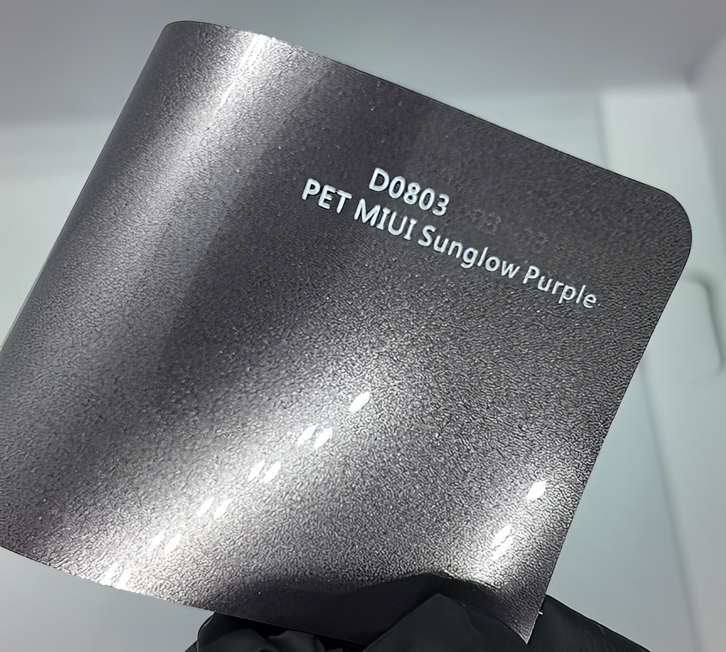 PET MIUI Sunglow Purple - D0803